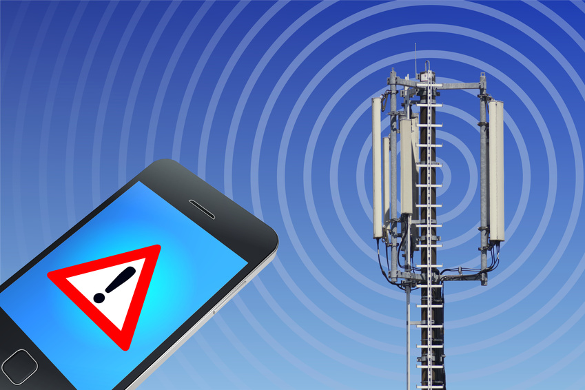 Studies on Mobile communication radiation
